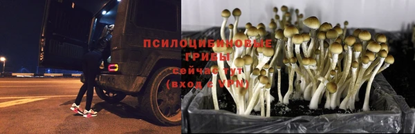 гашишное масло Аркадак