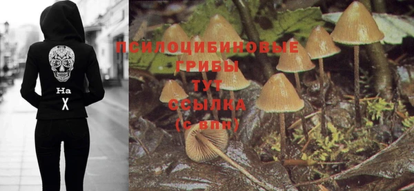 бошки Армянск
